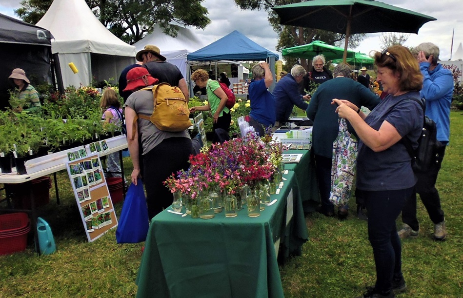 Yarra Valley Spring Festival