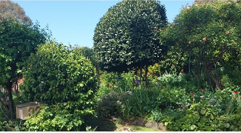 Elaine Brown's Garden 2 2025