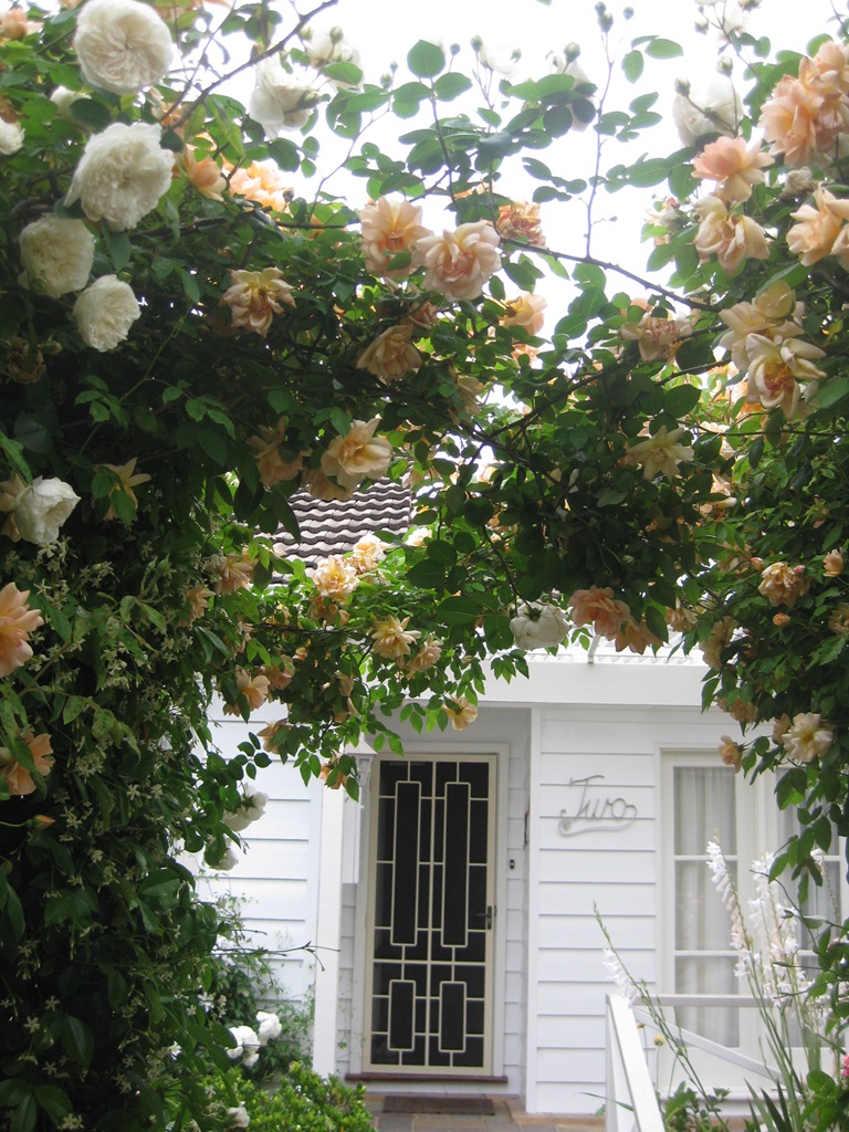 Terry Ashton's Front Door