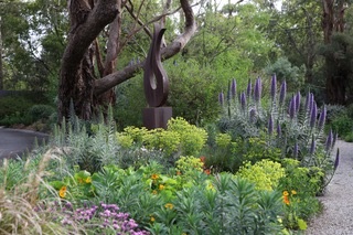 Nicky's garden