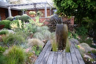 Nicky's garden