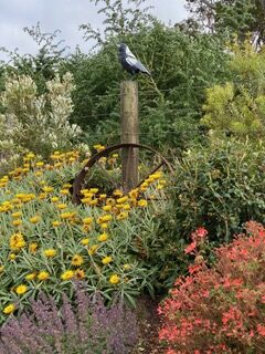 Helen's Garden