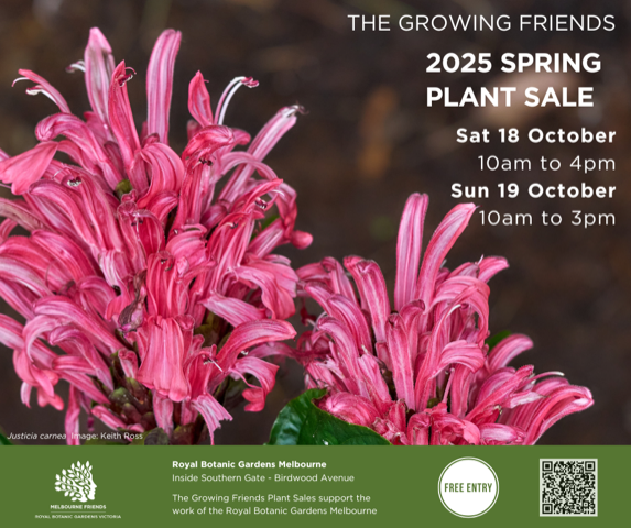 Growing Friends plant sale