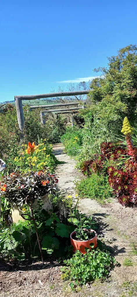 Chris Tournier's garden
