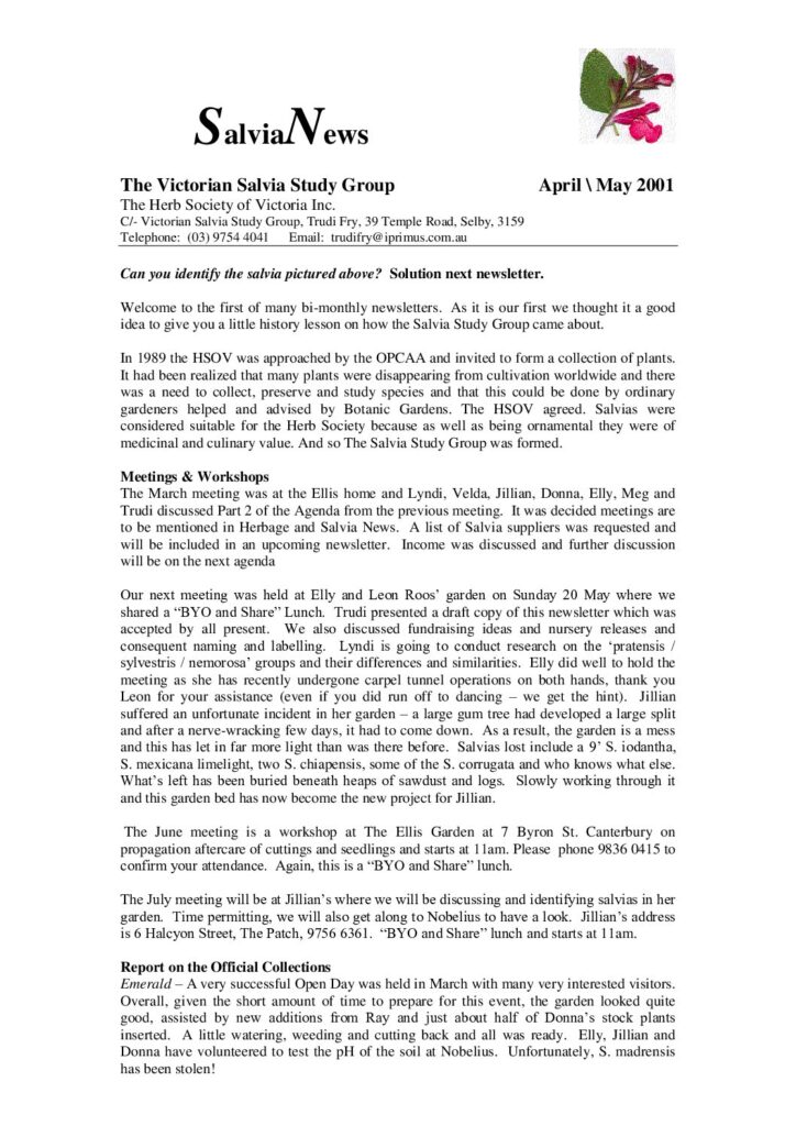 thumbnail of 1-SalviaNews