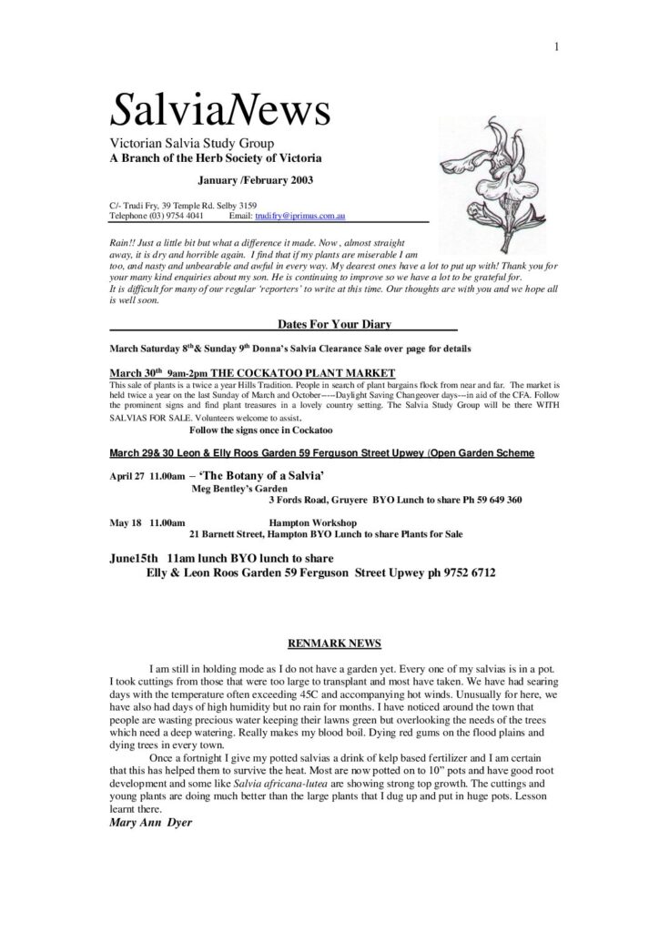 thumbnail of 11-SalviaNews