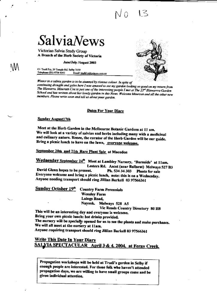 thumbnail of 13-SalviaNews