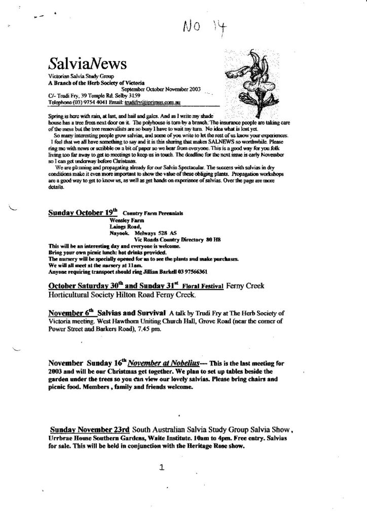 thumbnail of 14-SalviaNews