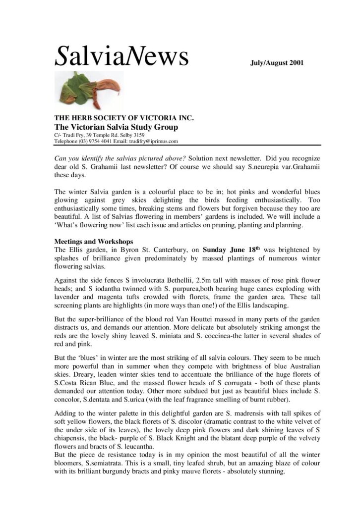 thumbnail of 2-SalviaNews