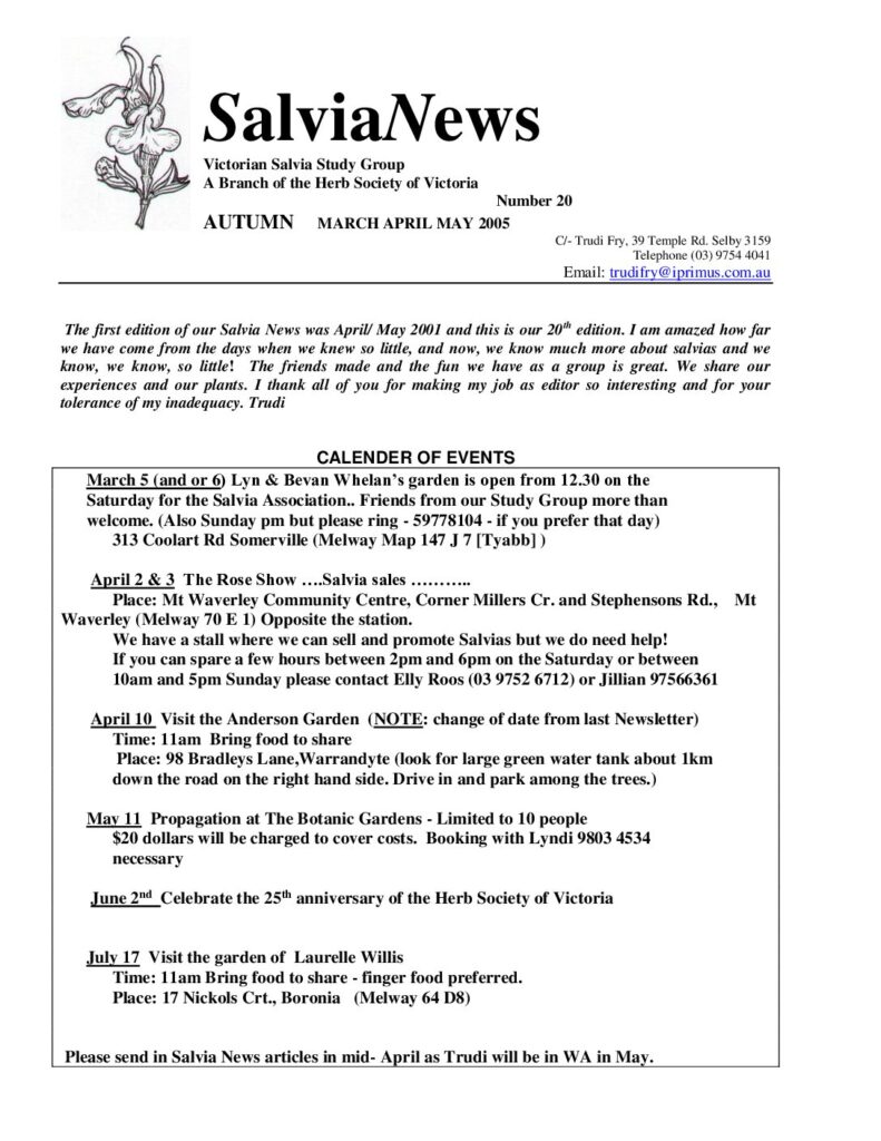 thumbnail of 20-SalviaNews