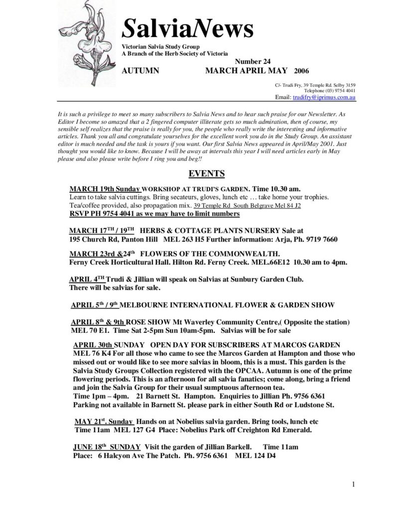 thumbnail of 24-SalviaNews