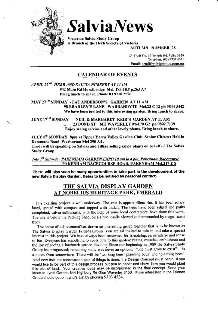 thumbnail of 28-SalviaNews