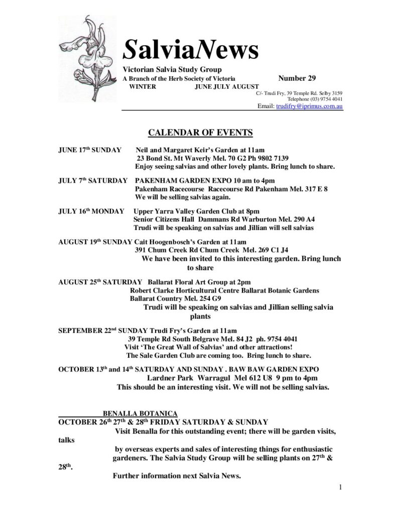 thumbnail of 29-SalviaNews