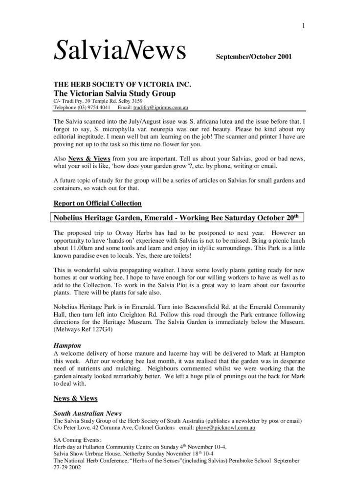 thumbnail of 3-SalviaNews