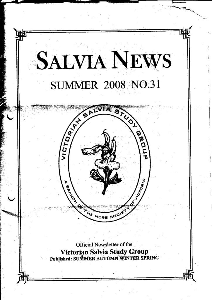 thumbnail of 31-SalviaNews