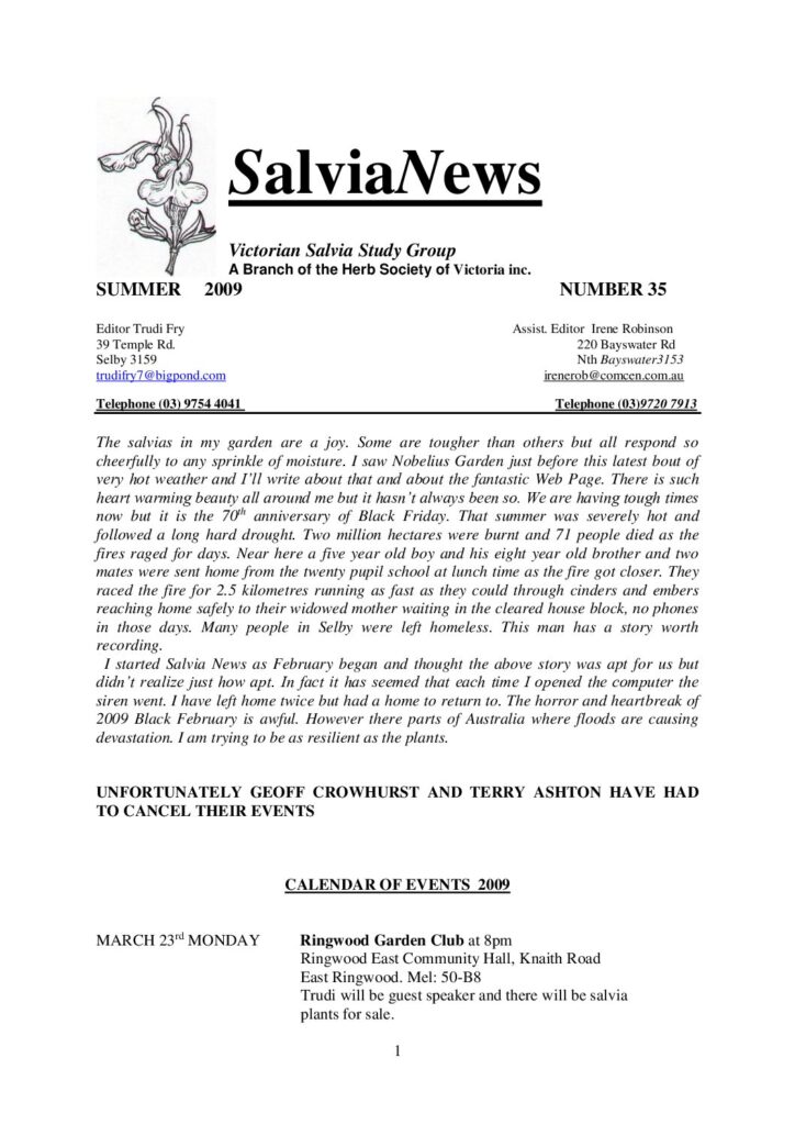 thumbnail of 35-SalviaNews