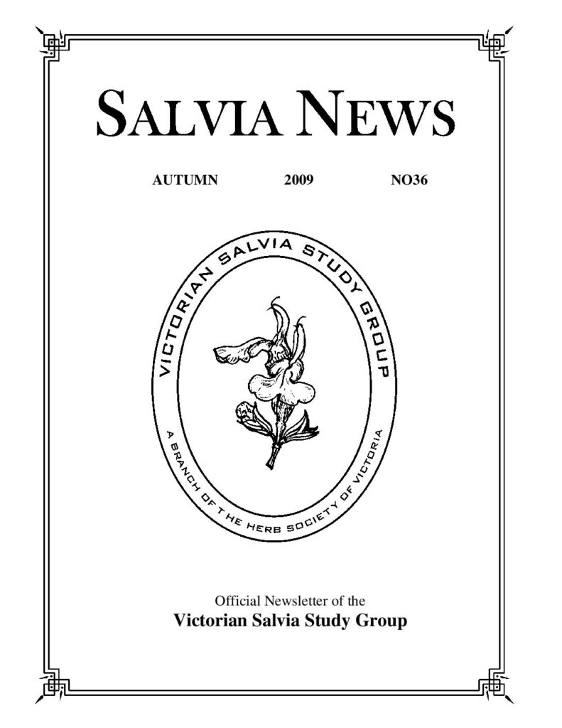 thumbnail of 36-SalviaNews
