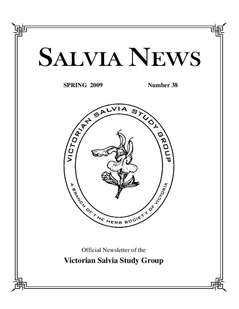 thumbnail of 38-SalviaNews