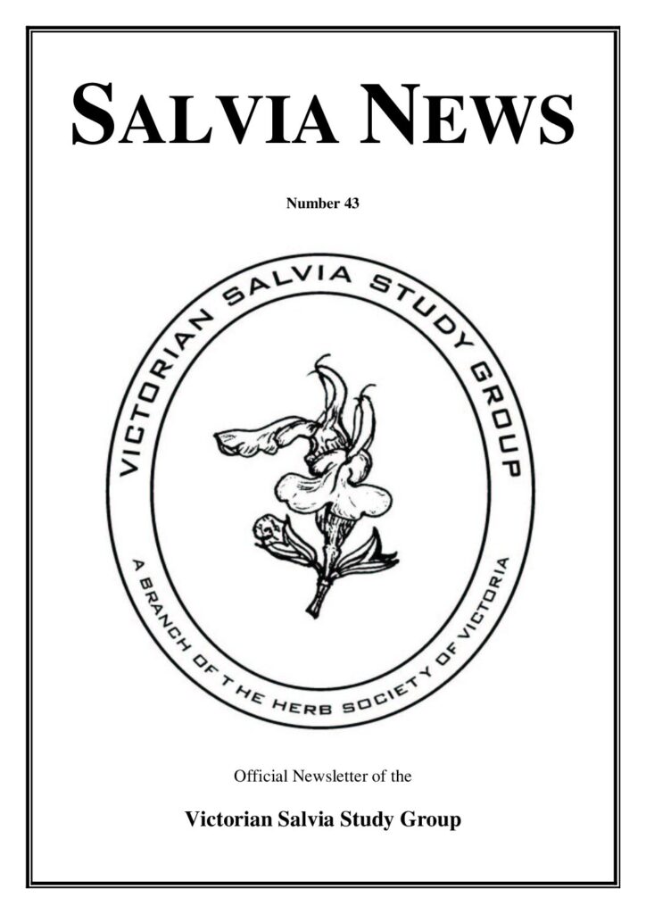 thumbnail of 43-SalviaNews