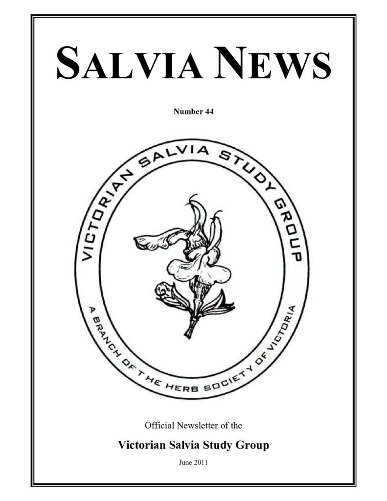 thumbnail of 44-SalviaNews