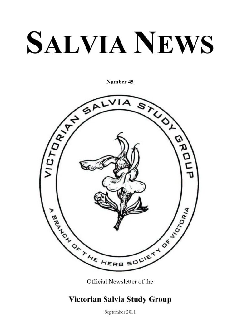 thumbnail of 45-SalviaNews