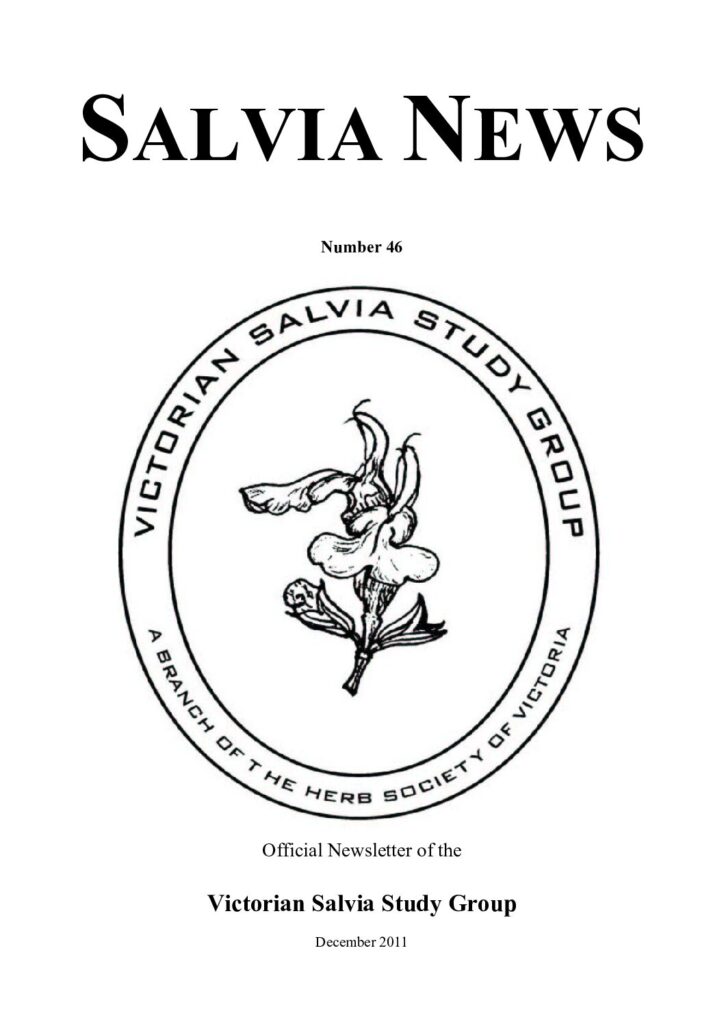 thumbnail of 46-SalviaNews