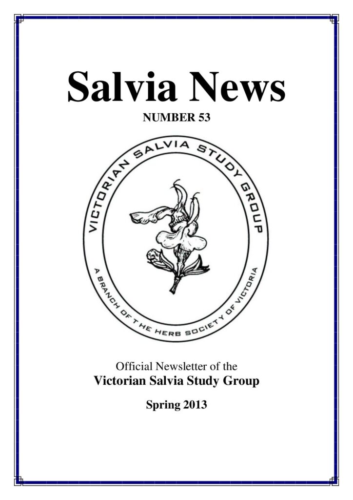 thumbnail of 53-Salvia News