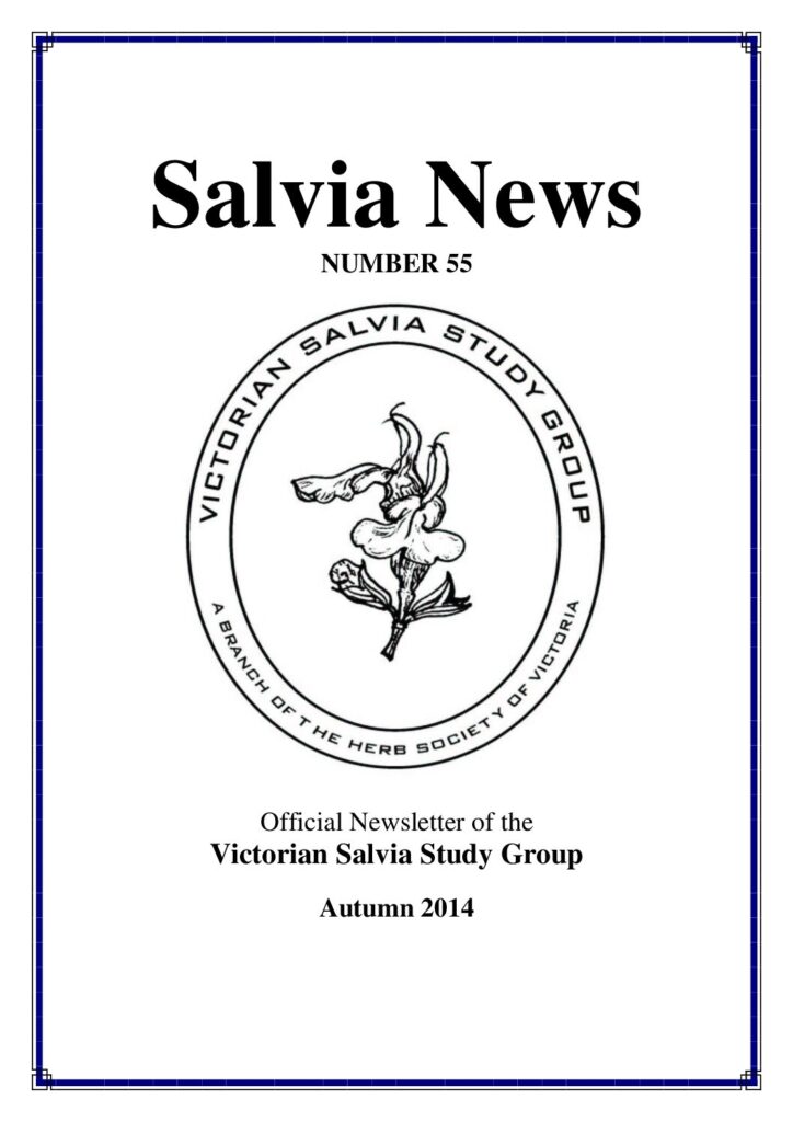 thumbnail of 55-Salvia News