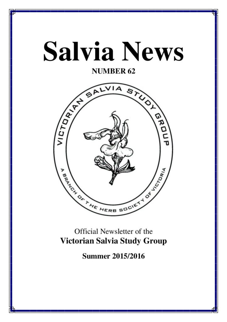 thumbnail of 62-SalviaNews