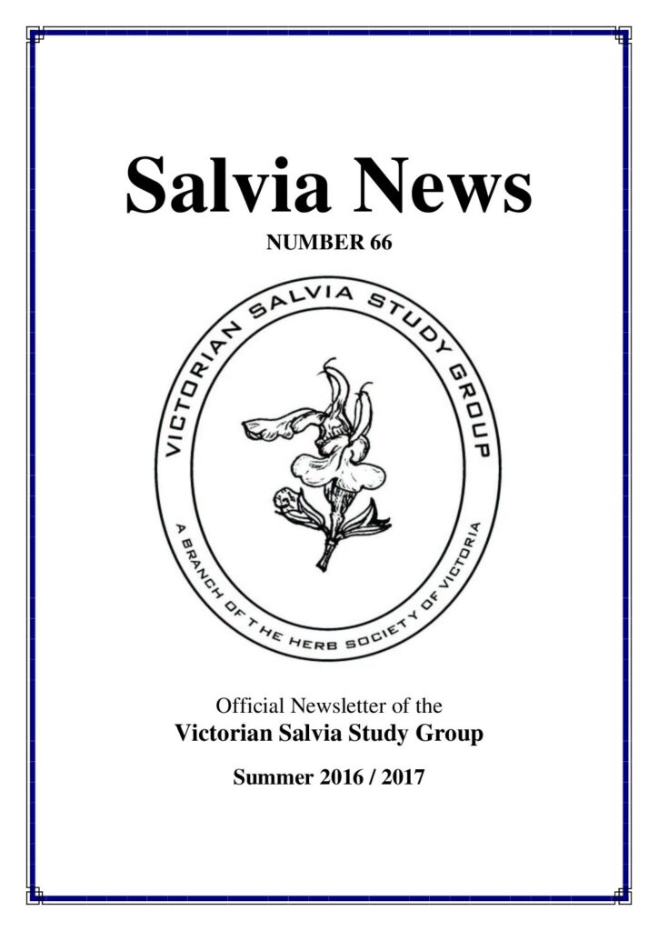 thumbnail of 66-SalviaNews
