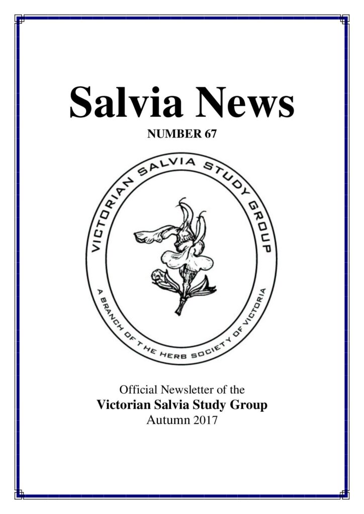 thumbnail of 67-SalviaNews