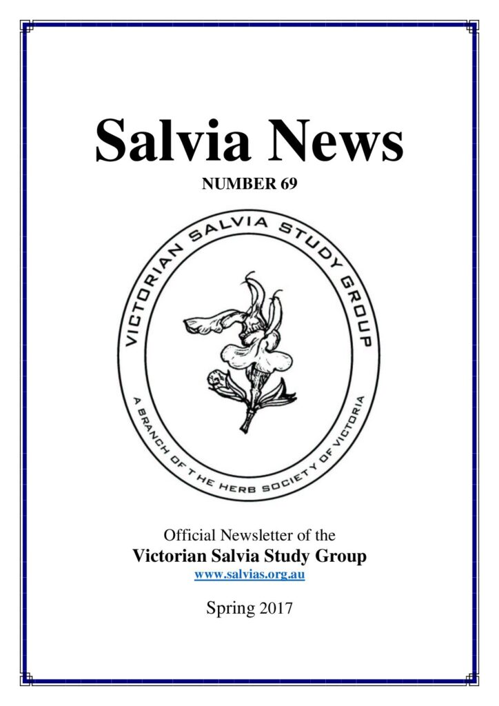 thumbnail of 69-SalviaNews