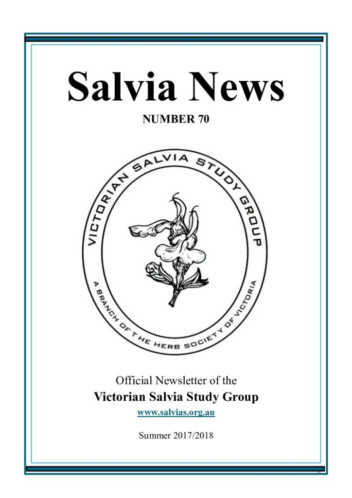 thumbnail of 70-SalviaNews