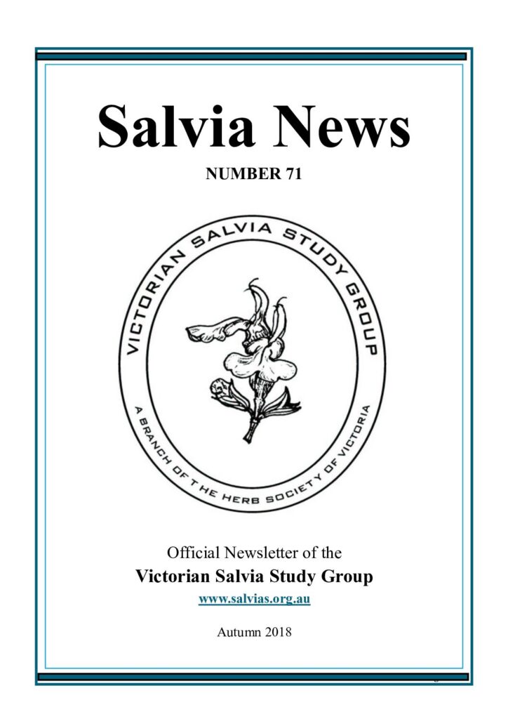 thumbnail of 71-SalviaNews