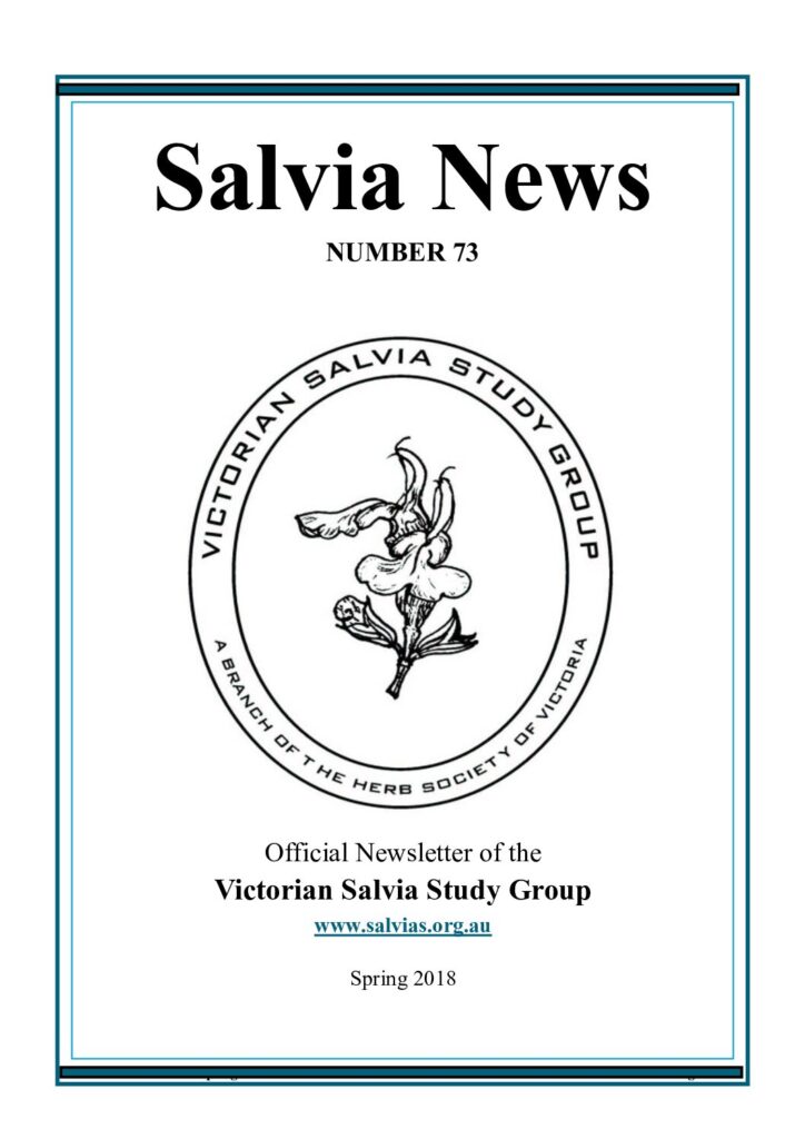 thumbnail of 73-SalviaNews