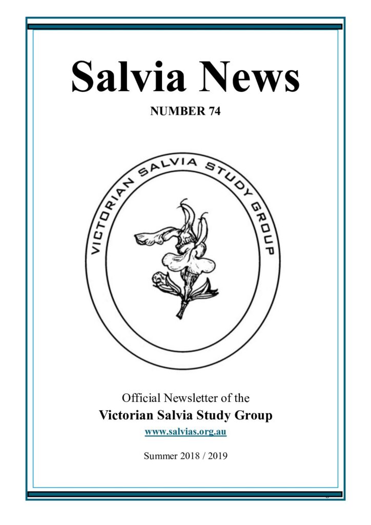 thumbnail of 74-SalviaNews