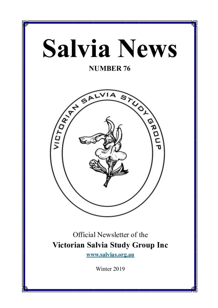 thumbnail of 76-SalviaNews