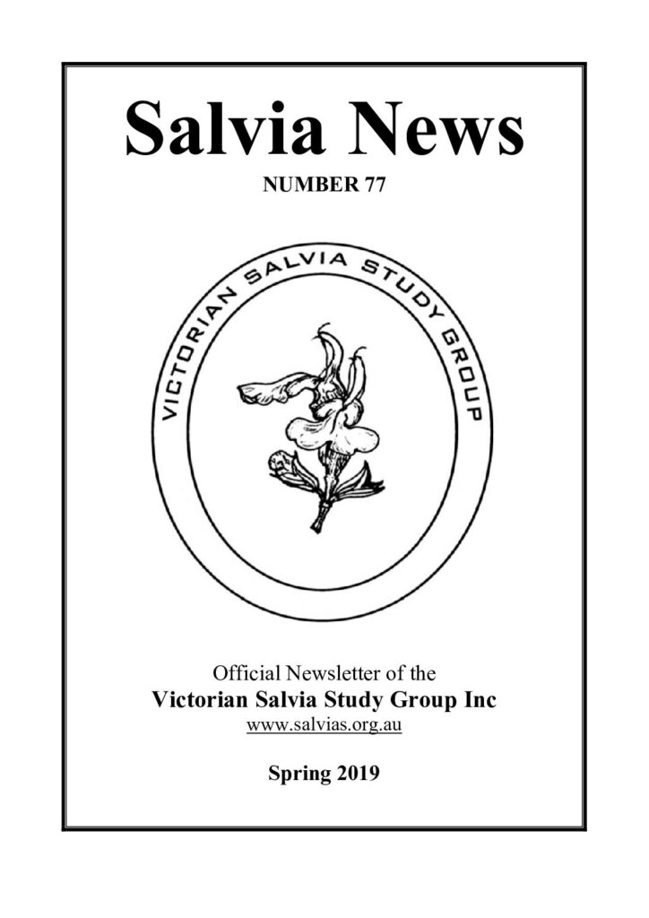 thumbnail of 77-SalviaNews