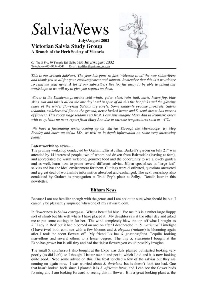 thumbnail of 8-SalviaNews