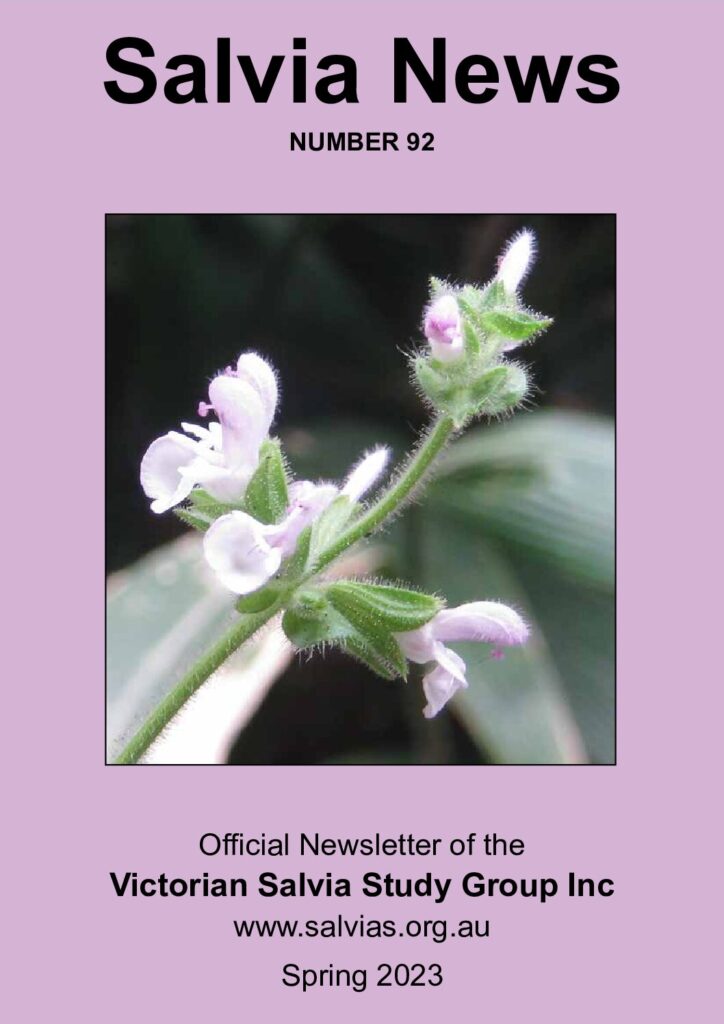 thumbnail of 92-Salvia News