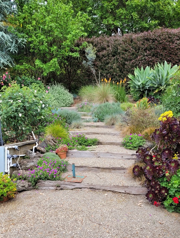 Ailsa's garden steps