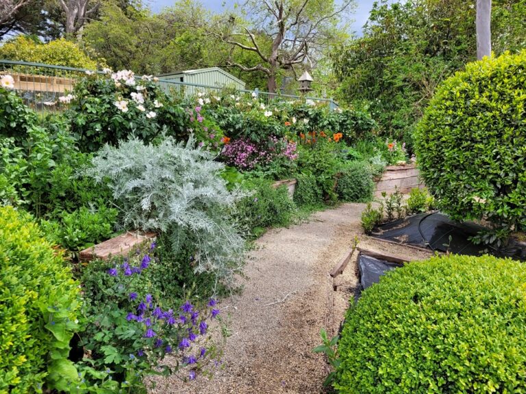 Ailsa's garden path