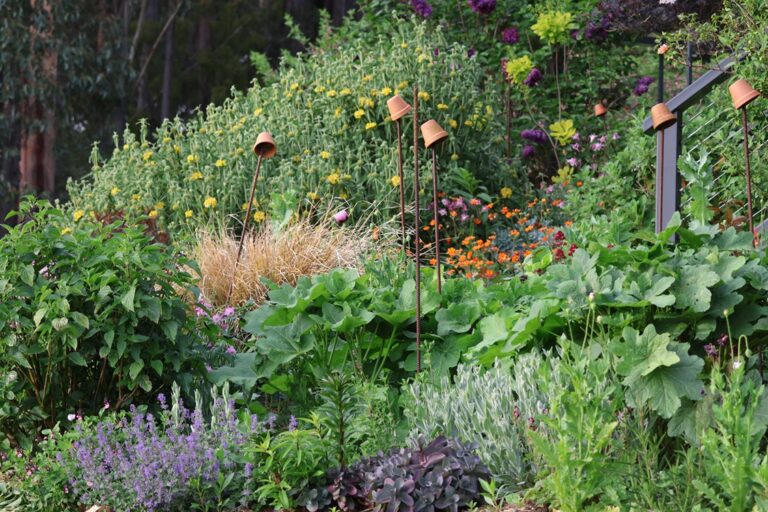 Anita's garden