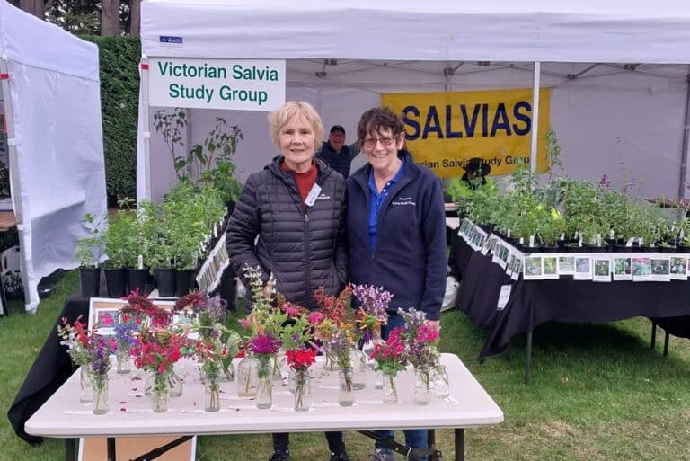 Helpers at Bolobek