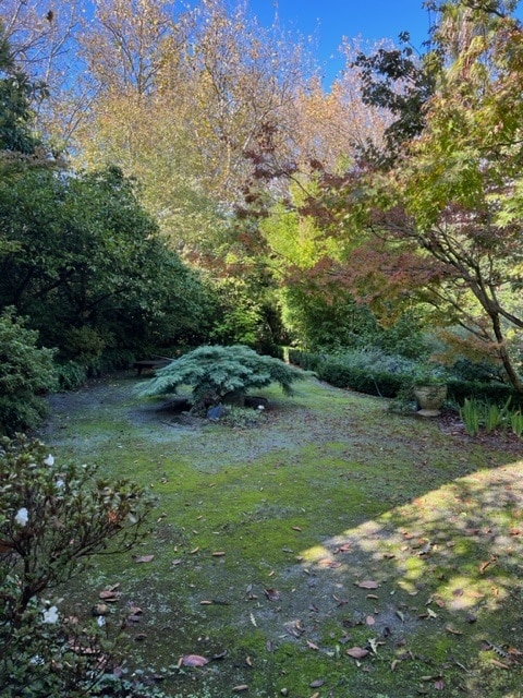 Janice's secret garden