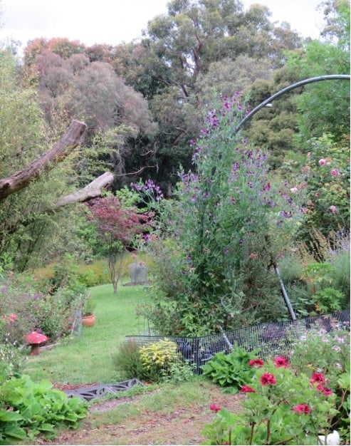 Meg's garden