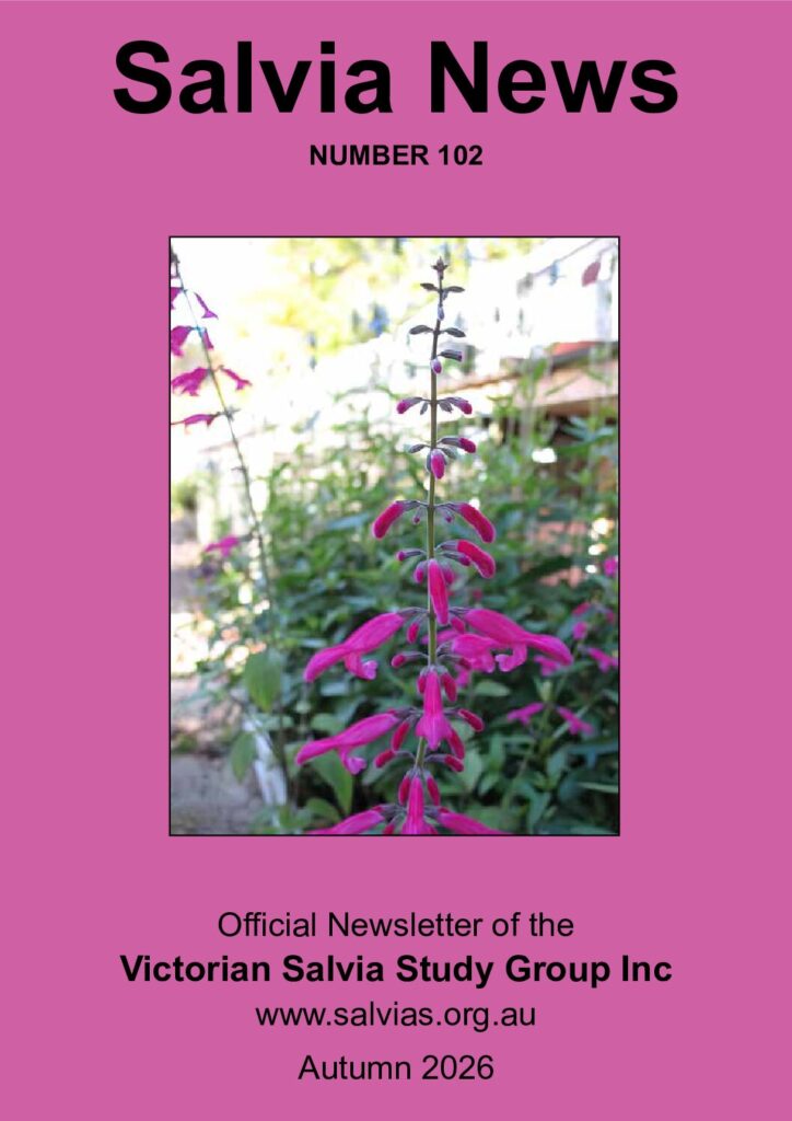 thumbnail of 102-Salvia News
