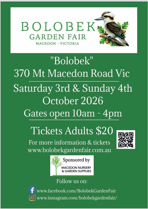 Bolobek flyer2026