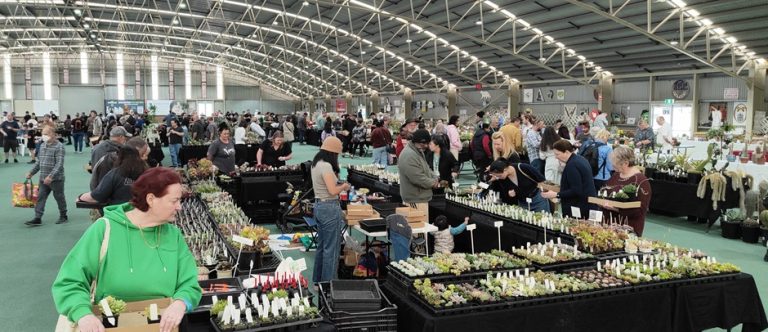 Cactus and Succulent Spring Show
