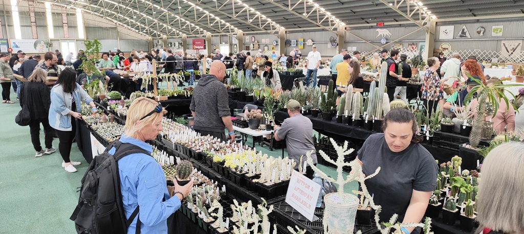 Cactus and Succulent Spring Show